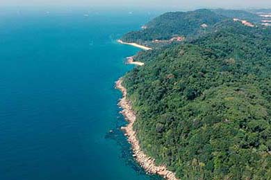 Zcash, Aster, Solana: Igniting the Santa Rally's Breakthrough - Crypto Twitter Reacts